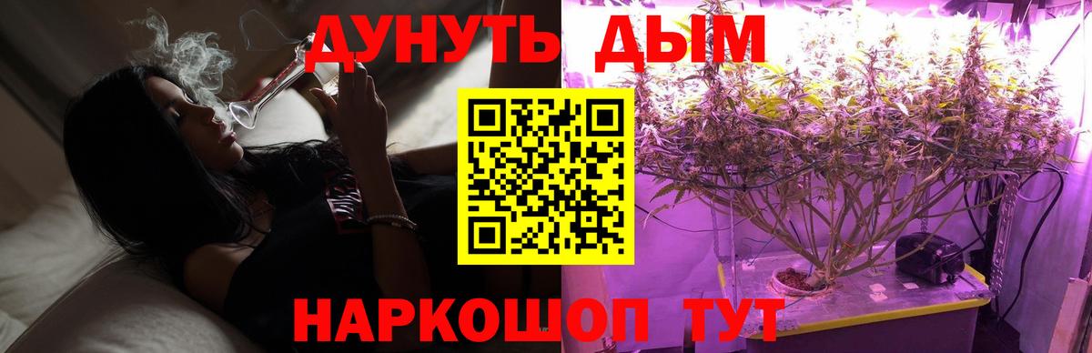 Майкоп  МАРИХУАНА ГИДРОПОН  Конопля индика  Каннабис THC 21%  Вход с VPN 